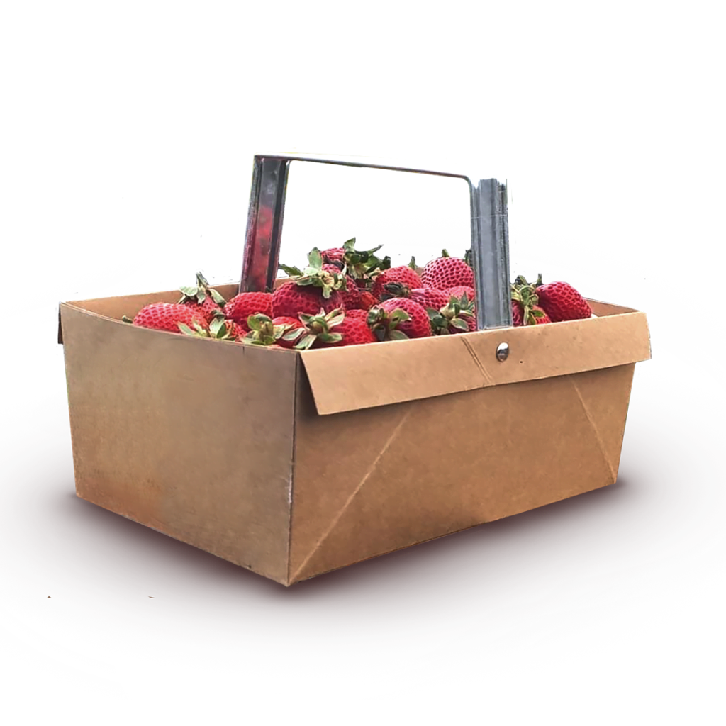 Product_0002_berry-boxes